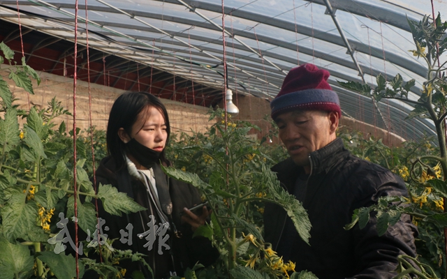 组图一：新华社记者在民勤县苏武现代农业产业园采访农户。.jpg