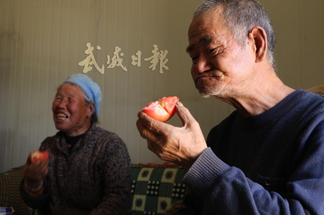 张国山的父母亲吃着自家棚里产的西红柿。.jpg